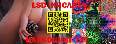 прущие грибы Кимры