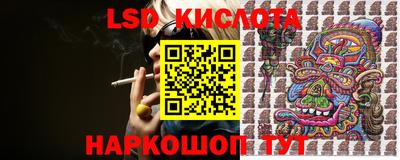 ПСИЛОЦИБИНОВЫЕ ГРИБЫ Кинель