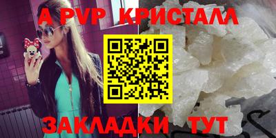 PSILOCYBIN Кингисепп