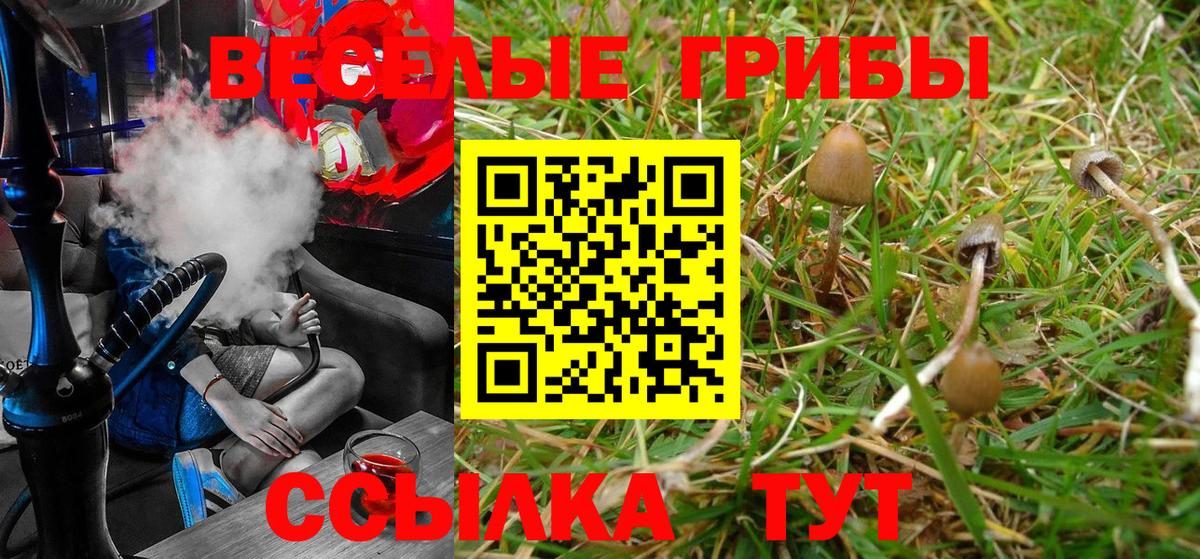 Галлюциногенные грибы Magic Shrooms  Вход с VPN  Звенигород 