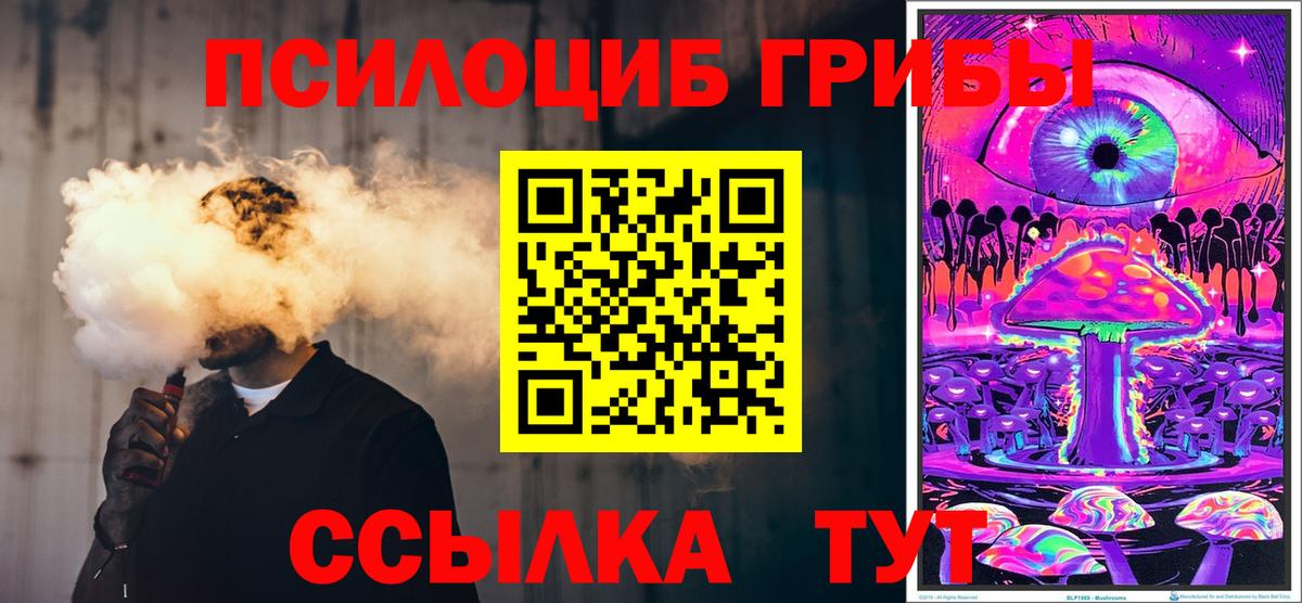 Галлюциногенные грибы Cubensis Звенигород