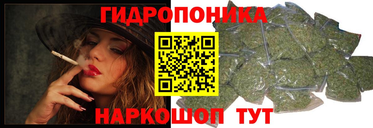 Каннабис планчик  МАРИХУАНА тримм  Конопля OG Kush  Звенигород  Вход с VPN 